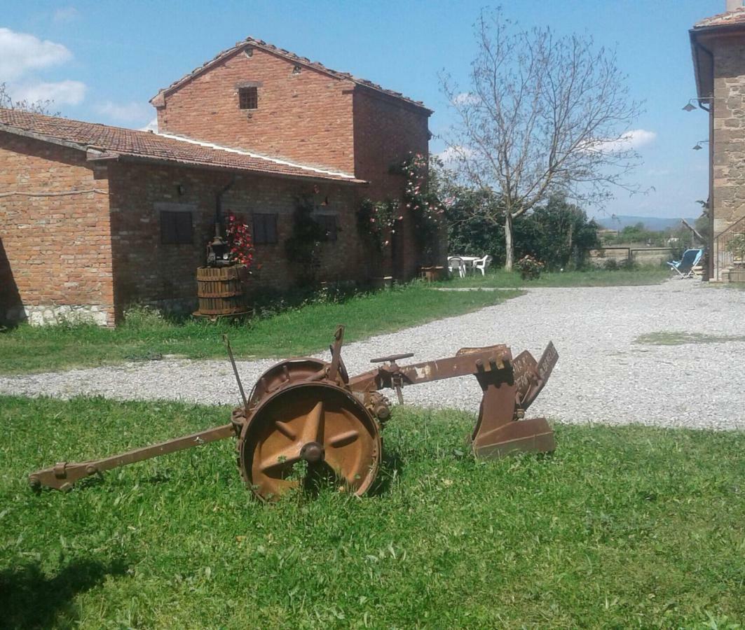 Podere Alberello Torrita di Siena Exteriér fotografie